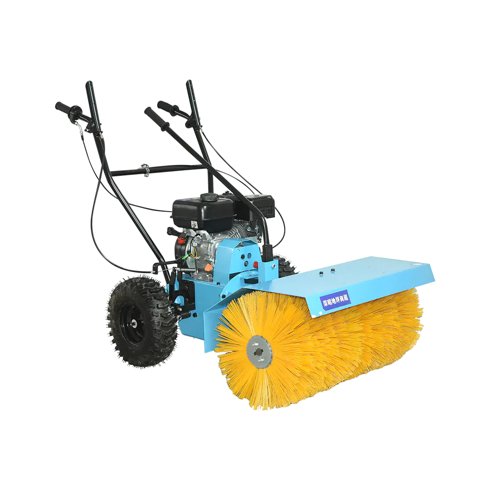 Blower di neve domestico